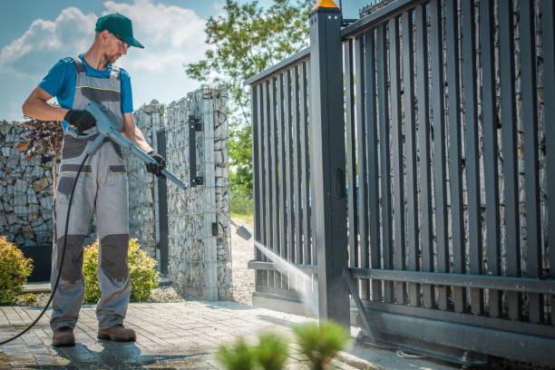 Best Roof Cleaning and Mildew Removal in Lavalette, WV